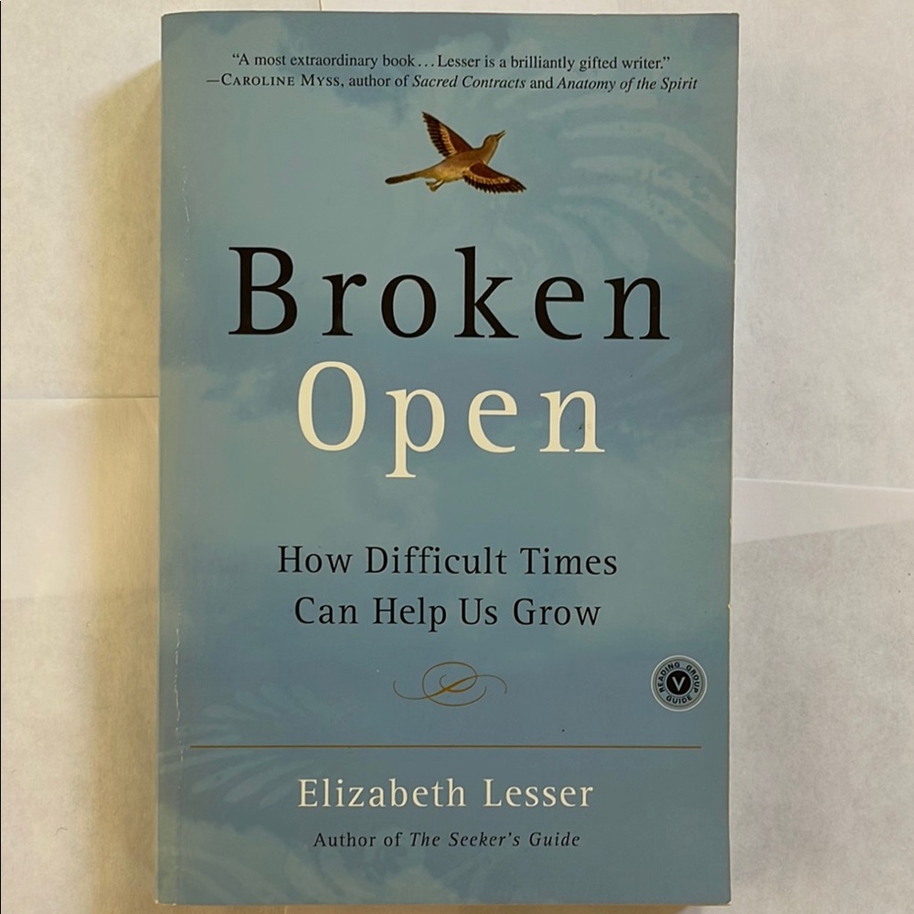 Broken Open by Elizabeth Lesser book